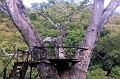 Mexico 290